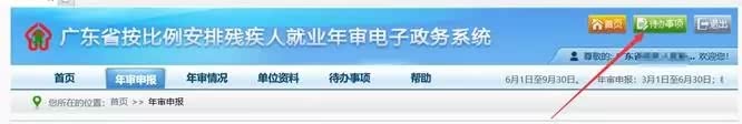 广东省按比例安排残疾人就业年审系统